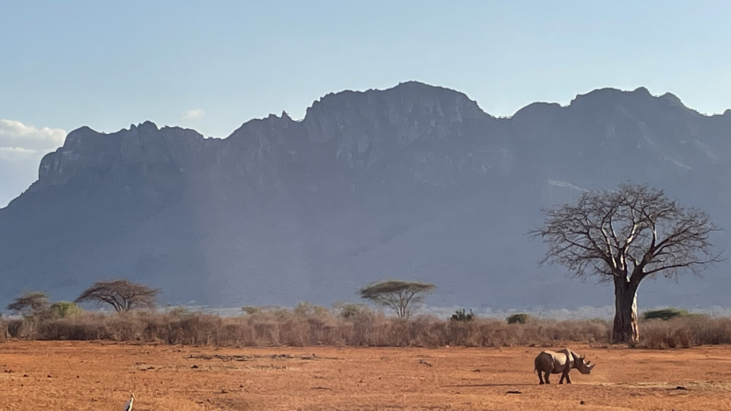 Kenia – complete safarireis + richtprijzen | Big Five spotten | Parelwit strand |Digitaal stappenplan
