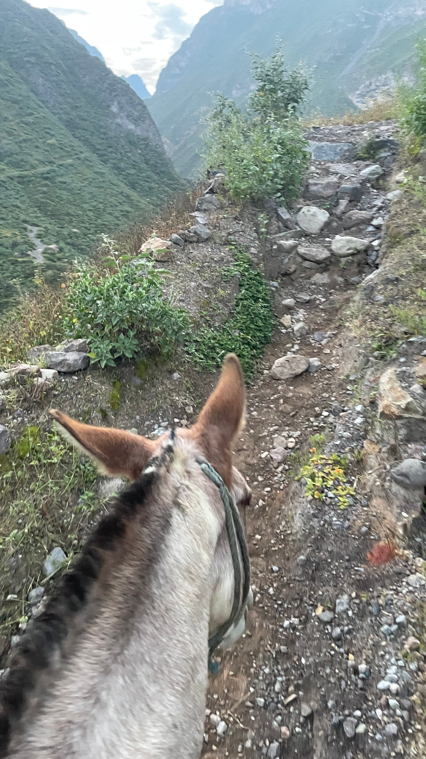 Peru – complete rondreis met richtprijzen | Machu Picchu, Amazone & Woestijnoase | Digitaal stappenplan