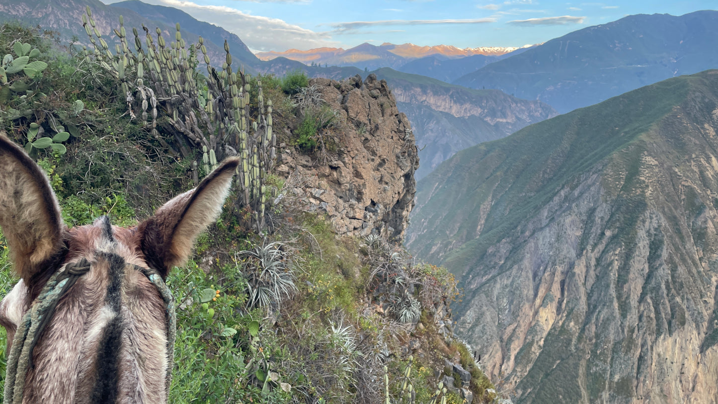 Peru – complete rondreis met richtprijzen | Machu Picchu, Amazone & Woestijnoase | Digitaal stappenplan