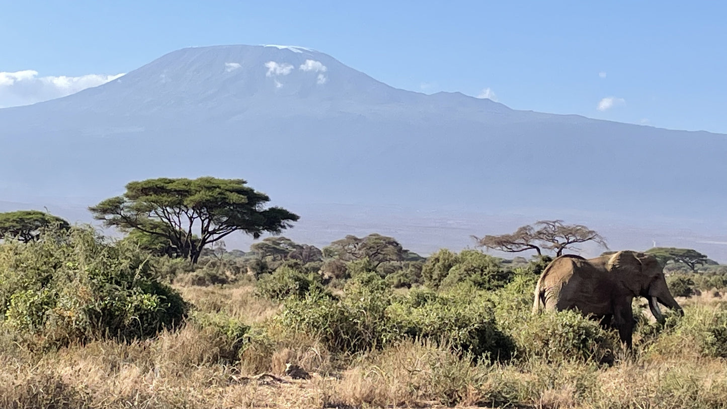 Kenia – complete safarireis + richtprijzen | Big Five spotten | Parelwit strand |Digitaal stappenplan