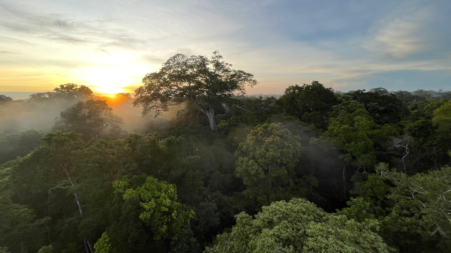 Peru – complete rondreis met richtprijzen | Machu Picchu, Amazone & Woestijnoase | Digitaal stappenplan