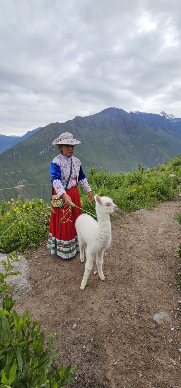 Peru – Machu Picchu, jungle & woestijn